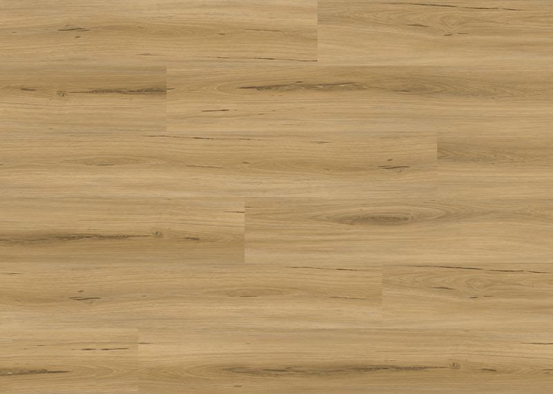 Maple